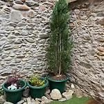 Casa San Nicolas Guest house
